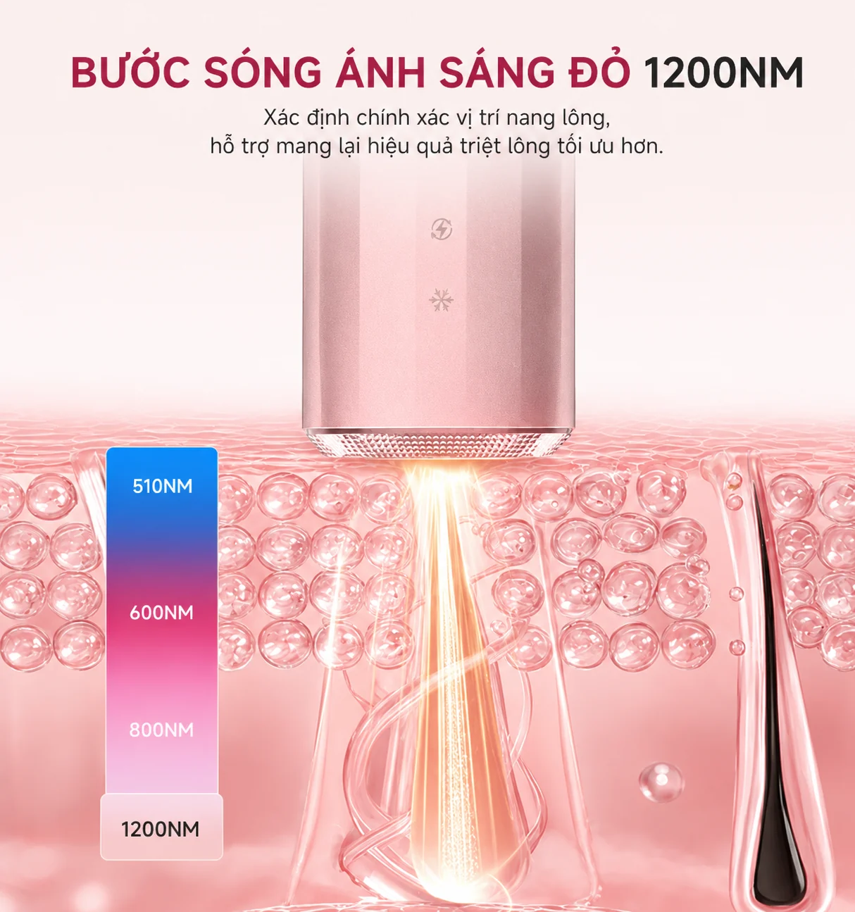 MLay T25C bước sóng ánh sáng đỏ 1200nm